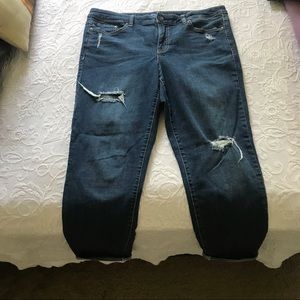 Bandolino Denim Capris